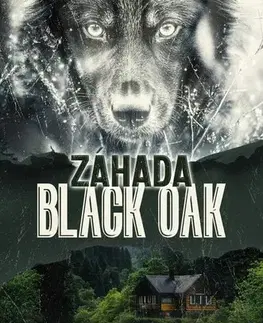 Detektívky, trilery, horory Záhada Black Oak - Alicia Renner