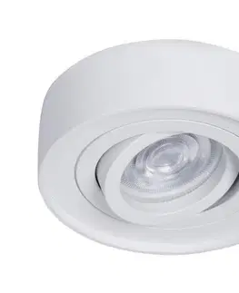 Svietidlá  Podhľadové bodové svietidlo NUSA 1xGU5,3/MR16/50W/12V guľatý biela ML0015