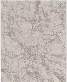 Moderné koberce Koberec Star 0.8/1.5 17501 260