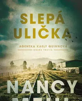 Detektívky, trilery, horory Slepá ulička - Nancy Mehl