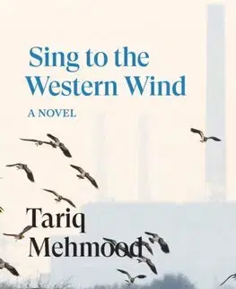 Svetová beletria Sing to the Western Wind - Tariq Mehmood