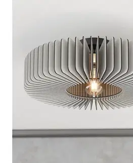 Svietidlá Eglo 900832 - Stropné svietidlo PALOMBAIA 1xE27/40W/230V šedá 900832