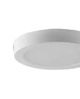 Svietidlá  LED Stropné svietidlo LED/12W/230V 6500K biela 7875