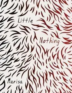Cudzojazyčná literatúra Little Nothing - Marisa Silver