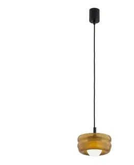 Svietidlá Argon 8816 - Luster na lanku TEVO 1xG9/4,5W/230V hnedá/dymová 8816