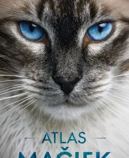 Mačky Atlas mačiek - Kolektív autorov