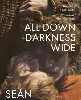 Literatúra All Down Darkness Wide - Seán Hewitt