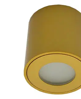 Svietidlá  Vonkajšie bodové svietidlo FARA 1xGU10/30W/230V IP54 zlaté SKU047066