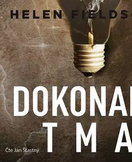 Detektívky, trilery, horory Voxi Dokonalá tma (audiokniha)