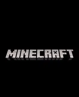 Svetová beletria Minecraft Spot the Skeleton Search and Find - Mojang AB
