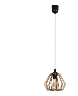 Svietidlá  Luster na lanku BERGO 1xE27/60W/230V čierna 0001