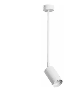 Svietidlá  Luster na tyči VARIOSA 1xGU10/10W/230V biela 6027