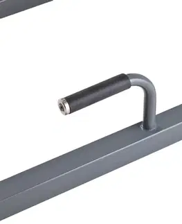 Posilňovacie stroje Multifunkčná hrazda inSPORTline Power Tower PT300