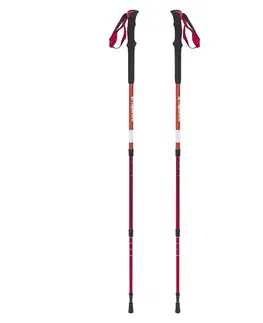 Trekingové palice Trekingové palice inSPORTline Altiplano 100 Pair červené