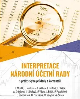 Dane, účtovníctvo Interpretace Národní účetní rady - Kolektív autorov