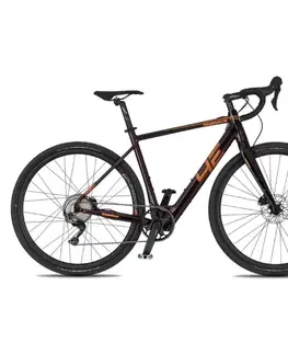 Elektrobicykle 4EVER ENGRAVE PRO 28" titan/hologram - 20,5" (165-180 cm)