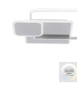 Svietidlá Paul Neuhaus 8319-55 - LED Stmievateľné stropné svietidlo EMILIO LED/53W/230V + DO 8319-55