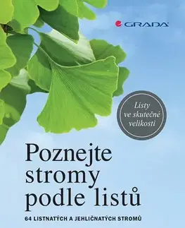 Spoznávame prírodu Poznejte stromy podle listů - Meike Bosch