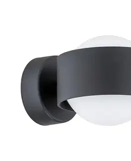 Svietidlá Argon 8059 - Nástenné svietidlo MASSIMO PLUS 1xG9/6W/230V čierna 8059