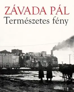 Svetová beletria Természetes fény - Pál Závada
