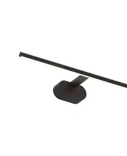 Svietidlá  LED Obrazové svietidlo PRADO LED/11W/230V čierna ML1002