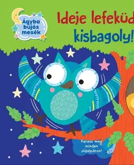 Rozprávky Ideje lefeküdni, kisbagoly! - Olivier Dupin