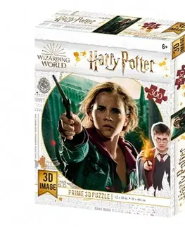3D puzzle 3D puzzle Harry Potter: Hermione Granger 300 dielikov