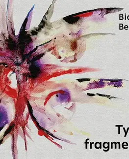 Beletria - ostatné Tympanum Tyhle fragmenty
