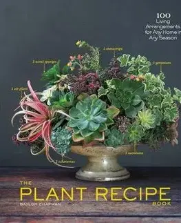Izbové rastliny Tabletop Plant Recipe Book - Paige Green,Baylor Chapman