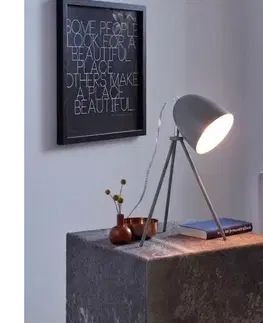 Lampy Eglo 33094 - Stolová lampa DUNDEE 1xE27/60W/230V sivá 33094