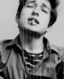 Film, hudba Why Dylan Matters - Richard Thomas