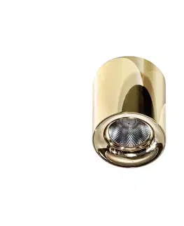 LED osvetlenie Azzardo  - LED Stropné svietidlo MANE LED/10W/230V 
