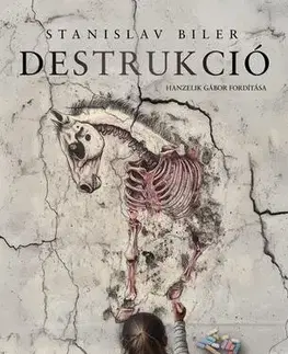 Svetová beletria Destrukció - Stanislav Biler