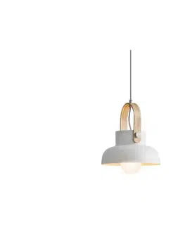 Svietidlá Zam 18190 - Luster na lanku 1xE27/40W/230V 18190