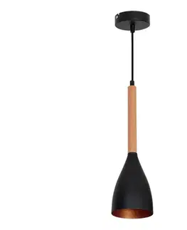 Svietidlá  Luster na lanku MUZA 1xE27/60W/230V 9112