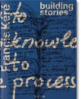 Architektúra Francis Kere : Building Stories - Francis Kere