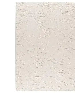 Moderné koberce Koberec Frisee Lexi 1,2/1,7 42333 060