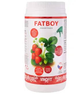 Pestovanie rastlín Vinofit FATBOY® - PK hnojivo so 100 % obsahom živín