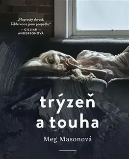 Romantická beletria Trýzeň a touha - Meg Mason