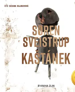 Detektívky, trilery, horory Kniha Zlín Kaštánek