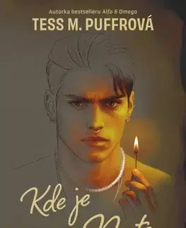 Erotická beletria Kde je Nate - Tess M. Puffrová