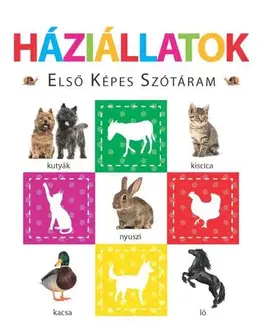 Leporelá, krabičky, puzzle knihy Háziállatok – Első képes szótáram