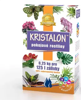 Záhrada Kristalon izbové rastliny 0,25 kg  000528