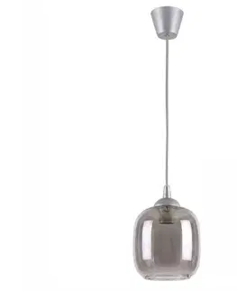 Svietidlá BRILAGI - LED luster na lanku R GLASS 1xE27/60W/230V pr. 14 cm strieborná/dymová šedá NSTK7758+TK8612A