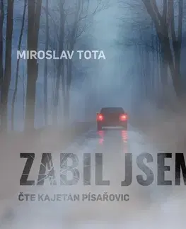 Beletria - ostatné Tebenas Zabil jsem…