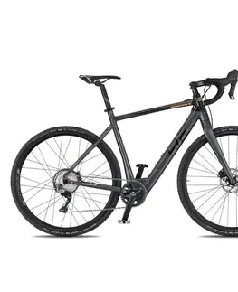 Elektrobicykle 4EVER ENGRAVE PRO 28" titan/metal gold - 20,5" (165-180 cm)
