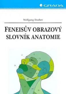 Medicína - ostatné Feneisův obrazový slovník anatomie - Wolfgang Dauber,Radomír Čihák,Alica Činčárová