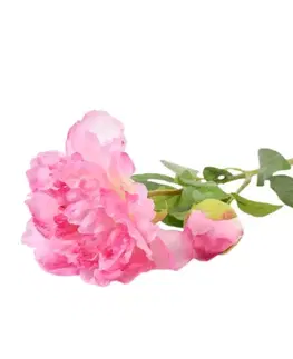 Záhradné dekorácie Paeonia 59cm ružová A2010570