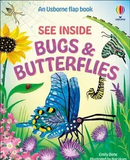 Leporelá, krabičky, puzzle knihy See Inside Bugs and Butterflies - Emily Bone,Nat Hues
