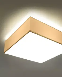 Vnútorné osvetlenie Stropná Lampa Montana 35 WHITE A-13